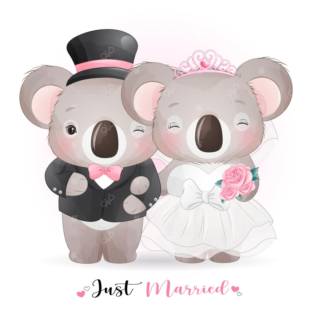 طراحی بامزه‌ی خرس کوآلا با لباس عروس و داماد، تازه ازدواج کرده