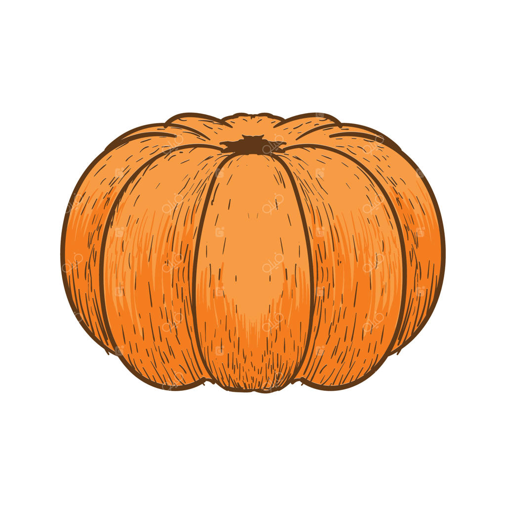 طراحی برچسب محصول باغی با تصویر دستی کدو حلوایی به سبک رترو وینتیج