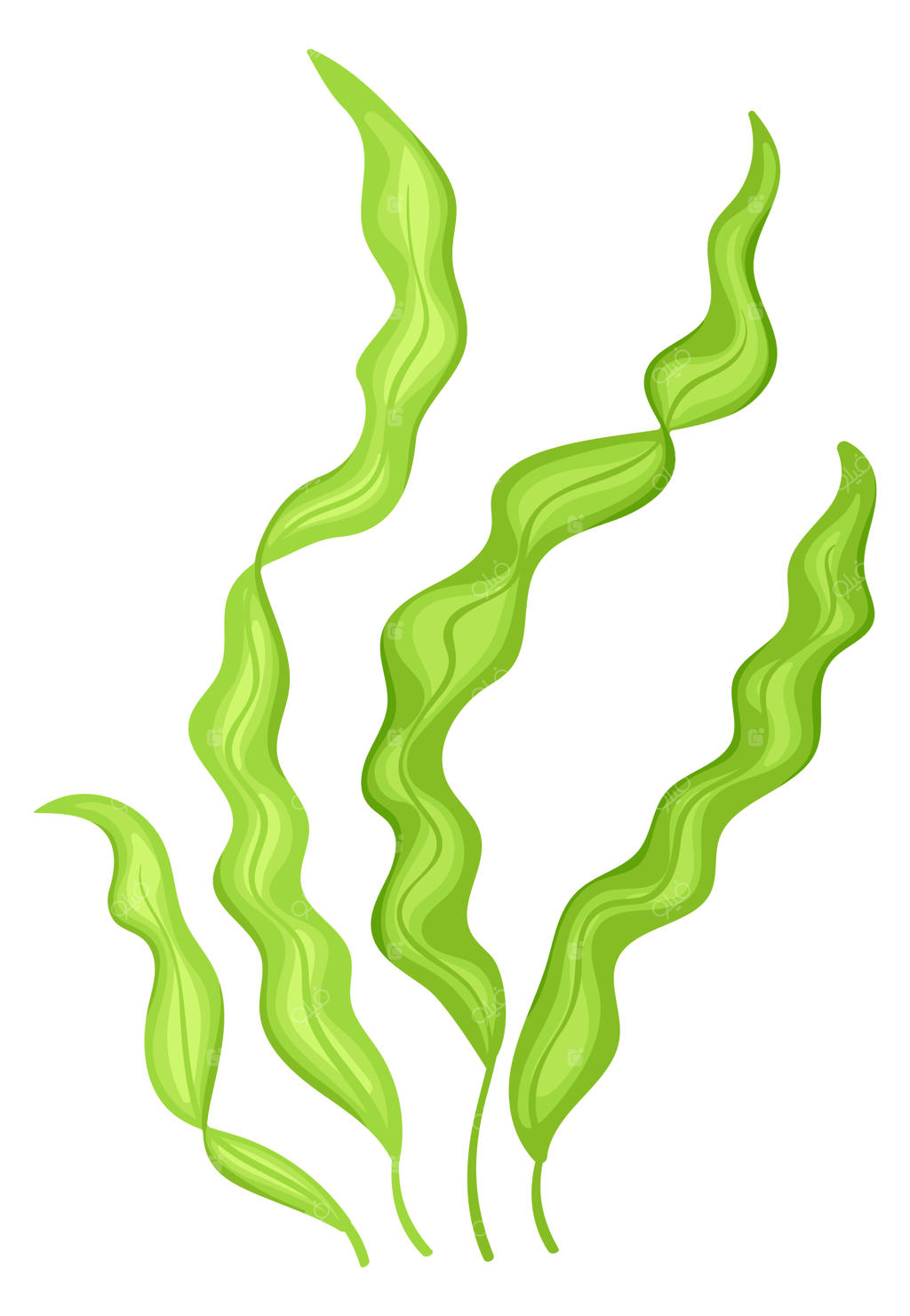 آیکون کارتونی جلبک سبز لامیناریا و گیاهان آبزی