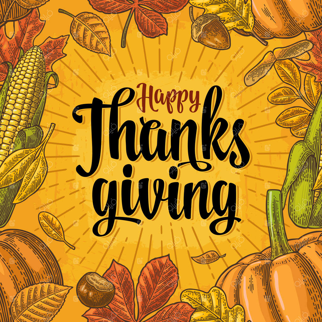 طرح یکپارچه با نوشته‌های "شکرگزاری مبارک" و تصاویری از کدو و گوجه‌فرنگی و ذرت به سبک حکاکی قدیمی