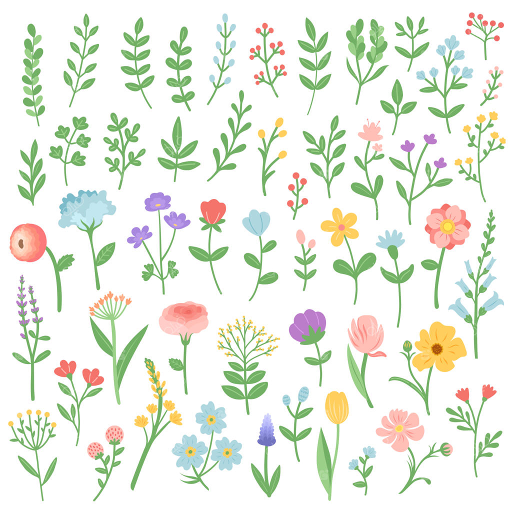 مجموعه‌ گل‌ها و شاخه‌ها برای تابستان و بهار - تصویرسازی وکتور