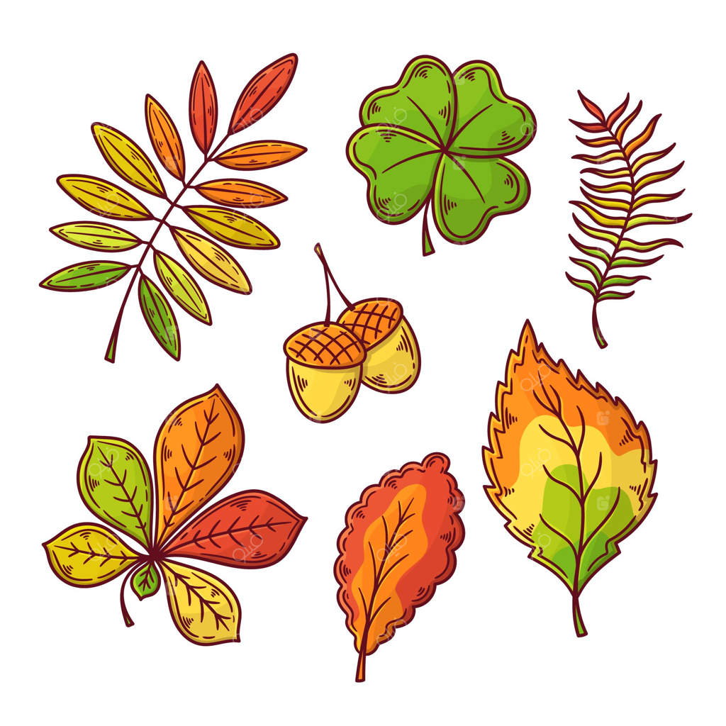 بسته برگ‌های پاییزی طراحی شده با دست