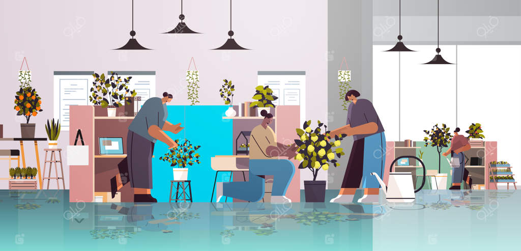مراقبت از گیاهان گلدانی توسط تیم چندنژادی در دفتر - مفهوم باغبانی اداری