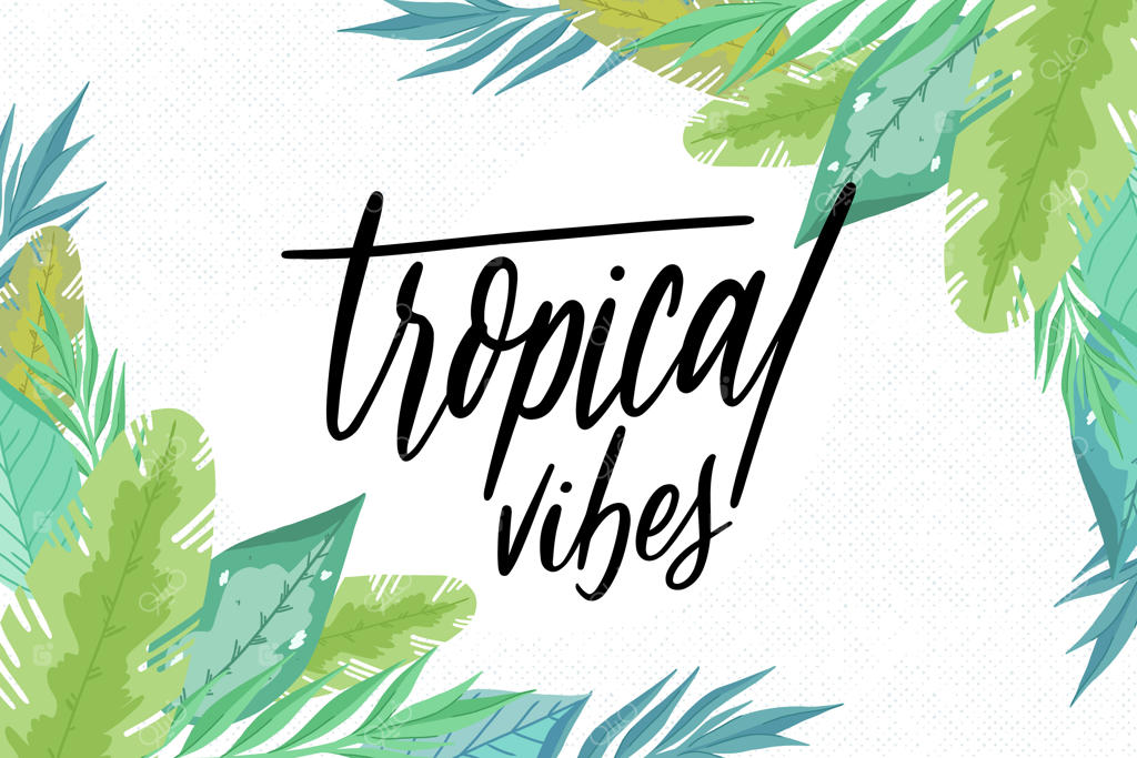 حروف‌نگاری با حس و حال برگ‌های استوایی