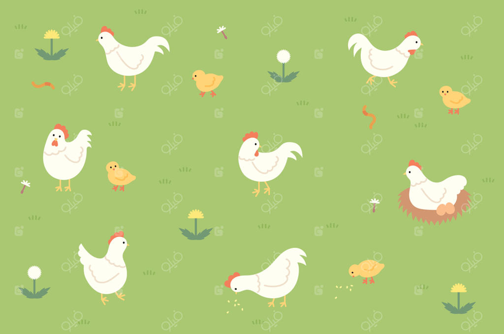 جوجه‌ها و مرغ‌های بامزه در یک مزرعه