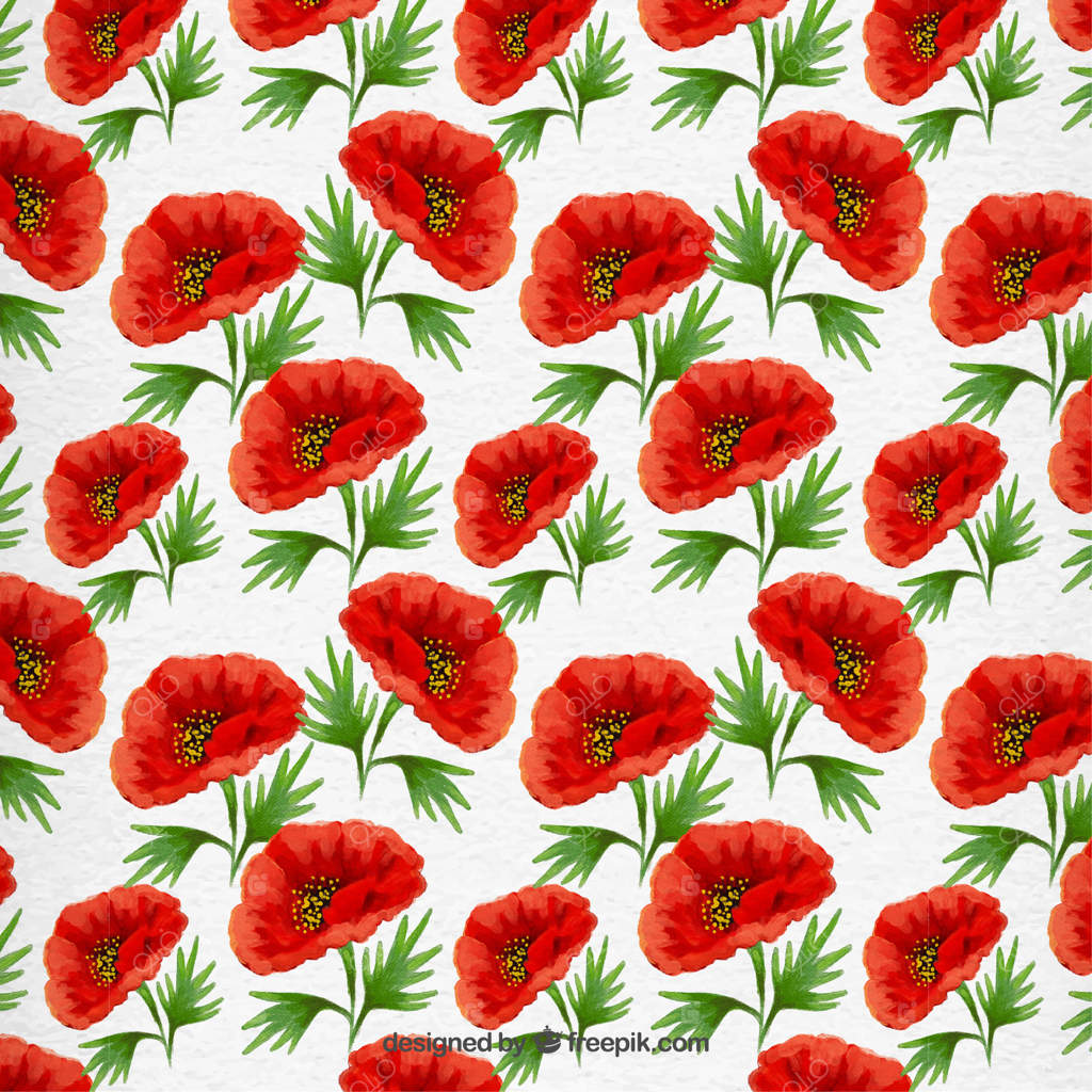 طرح گل شقایق نقاشی شده با دست