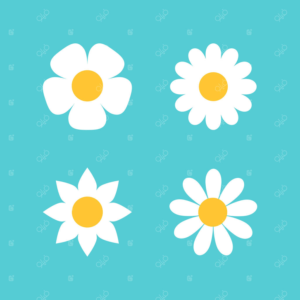 مجموعه آیکون گل بابونه سفید بر زمینه آبی