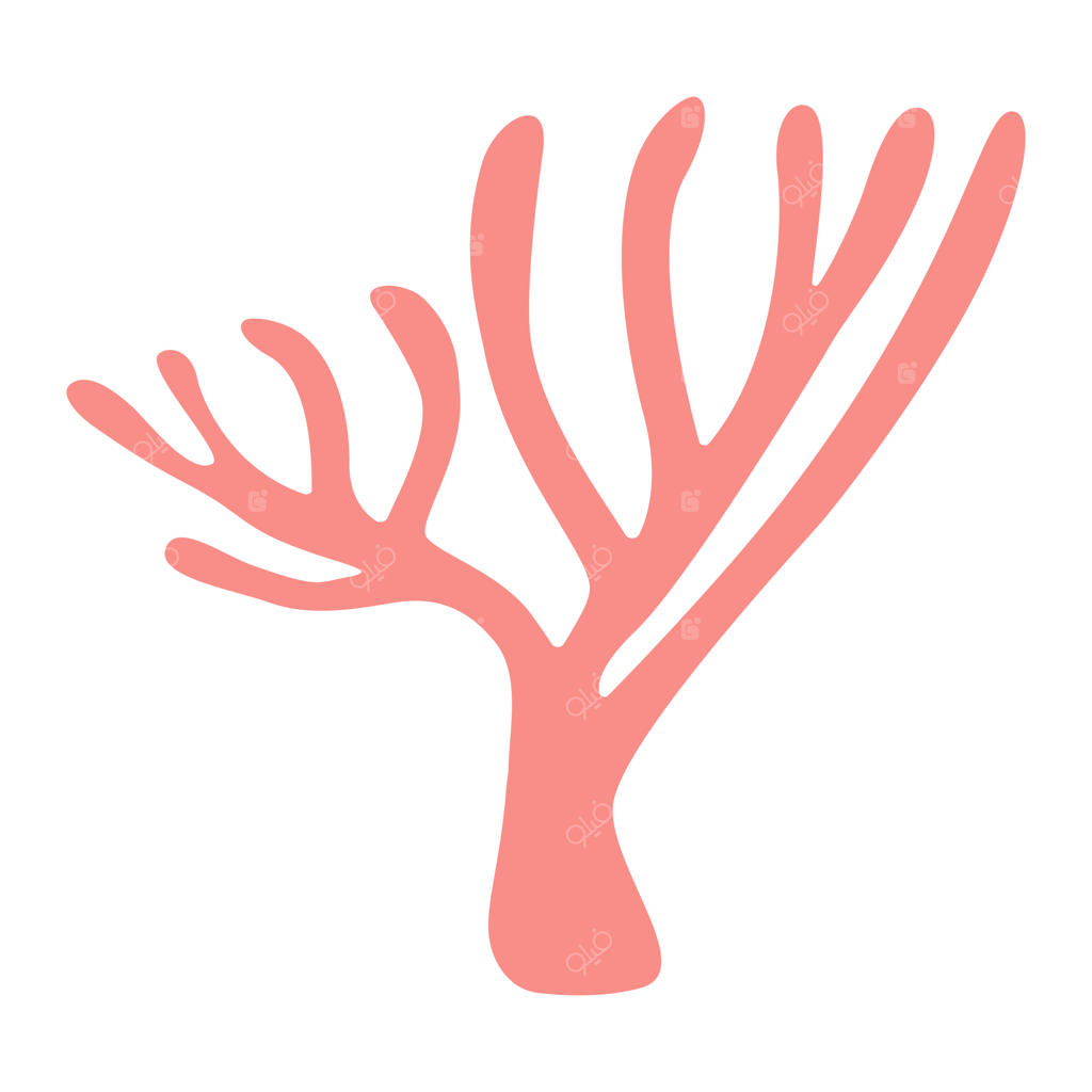 تصویرسازی تخت و دستی مرجان صورتی با پس‌زمینه سفید