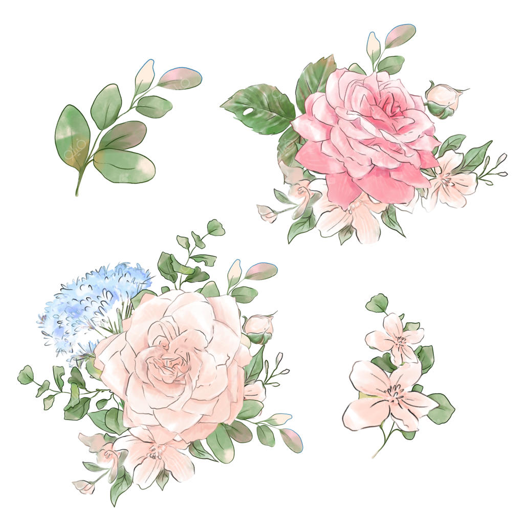 دسته گل رز آبرنگی