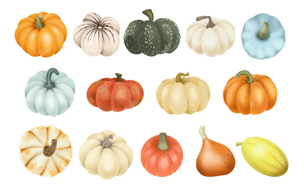 مجموعه‌ای از انواع کدو تنبل‌ها