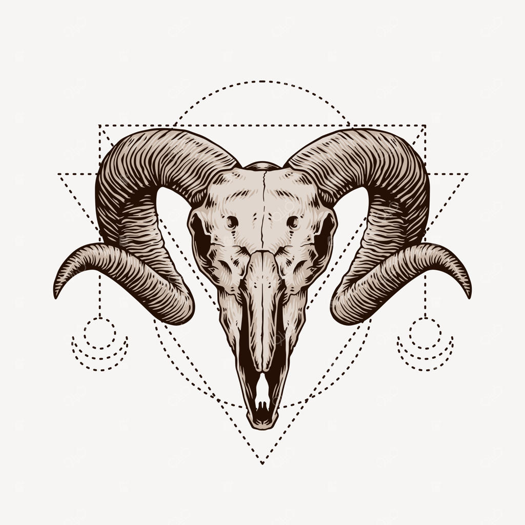 جمجمه قوچ: تصویر دستی با سبک بوهو و هیپستر.