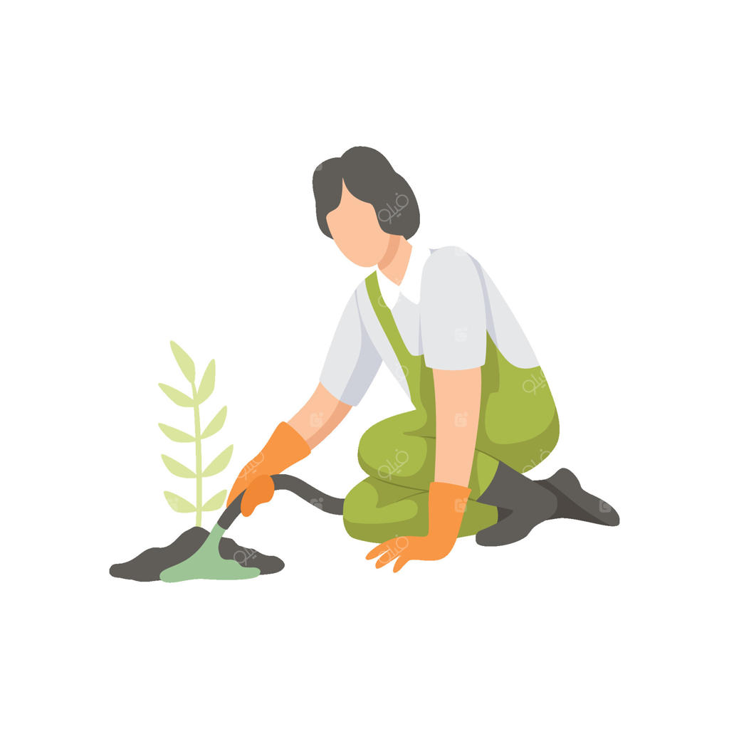 دختر در حال آبیاری نشا با شیلنگ، افراد مشغول به کار در باغ، کارگر در حال پرورش محصولات کشاورزی (تصویرسازی)