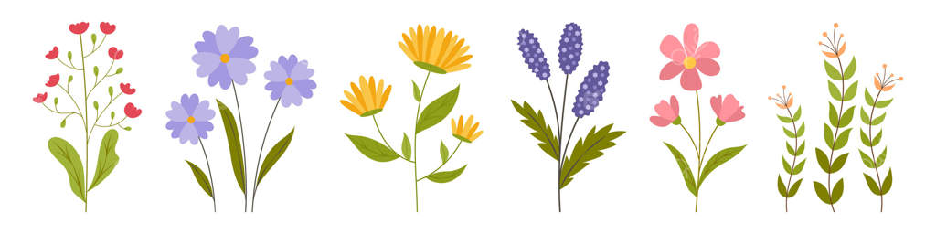 مجموعه گیاهان گلدار باغچه