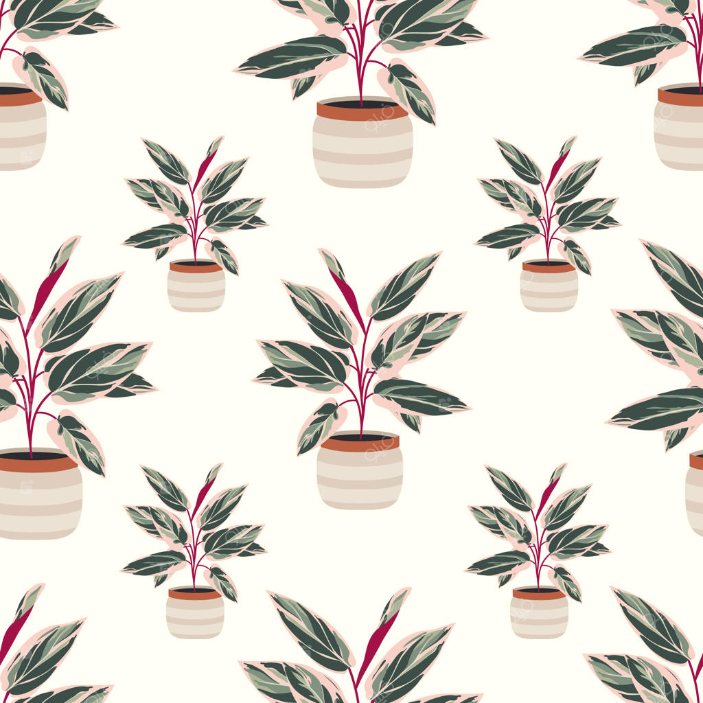 الگوی یکپارچه گیاه دکوری کالاثیا