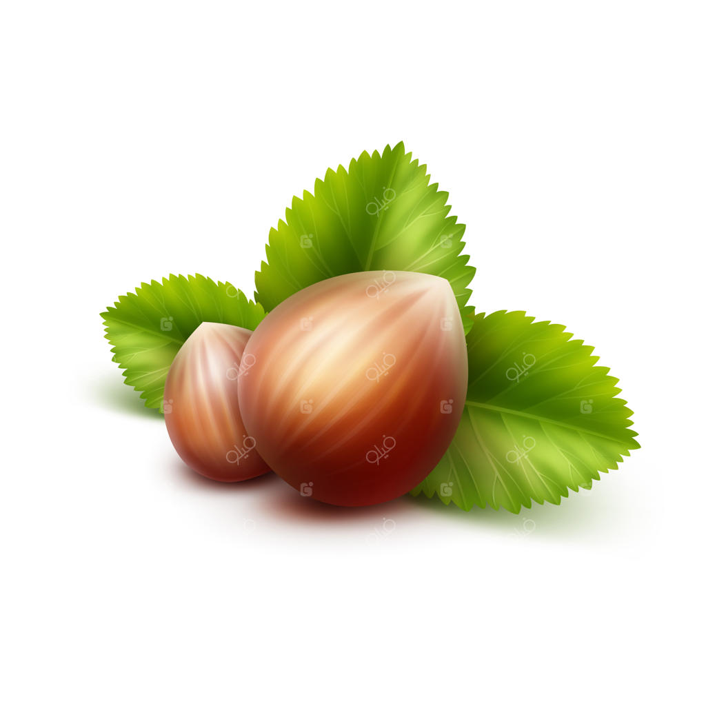 فندق کامل با برگ‌ها جدا شده