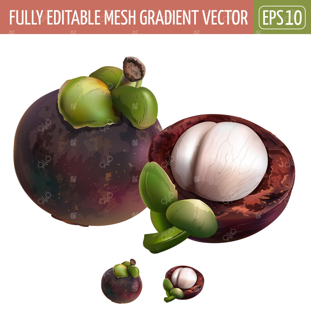 تصویر میوه مانگوستین روی زمینه سفید