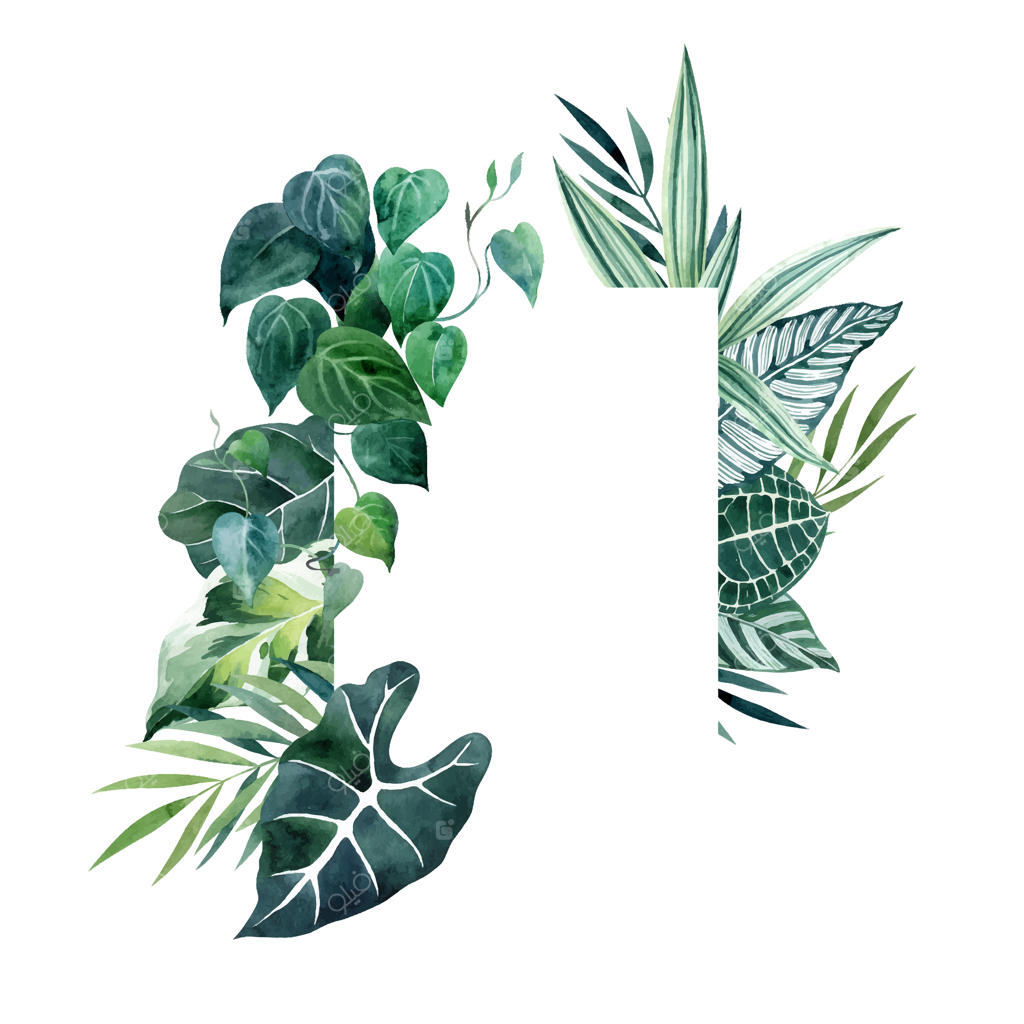 قاب مستطیل با برگ‌های استوایی آبرنگی و فضای خالی برای نوشتن، تصویر وکتور