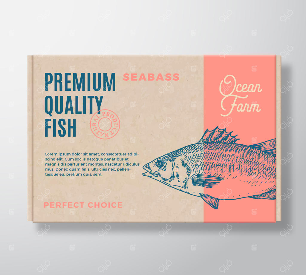 بسته بندی ماهی با کیفیت عالی: طراحی انتزاعی جعبه مقوایی با تایپوگرافی مدرن و تصویر دست‌کشیده ماهی قزل‌آلا بر روی زمینه کاغذی دست‌ساز