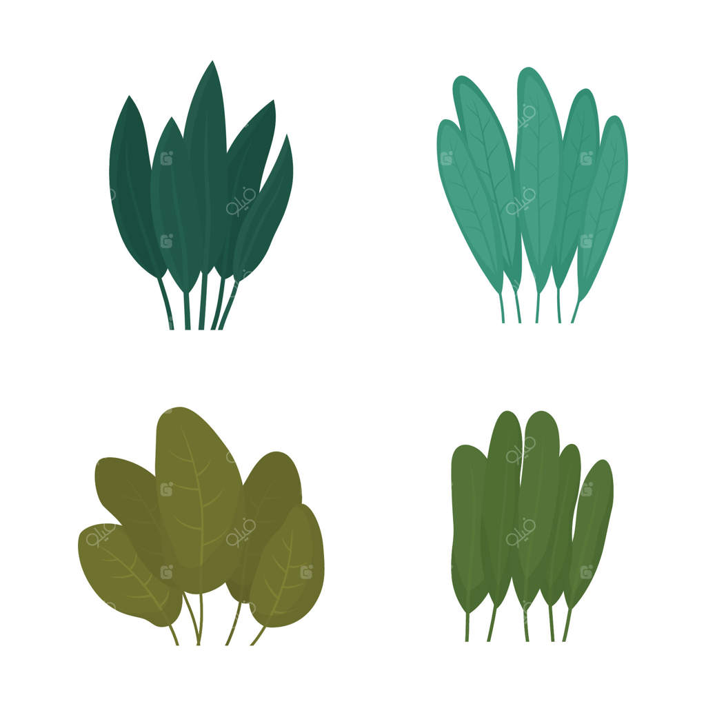 مجموعه‌ای از برگ‌های تازه و گرمسیری در باغ پارک