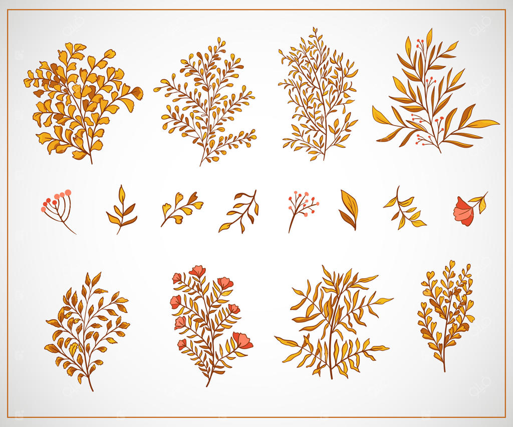 مجموعه‌ای از برگ‌های رنگارنگ پاییزی و شاخه‌های درخت بر روی زمینه سفید. شاخه‌های زرد باغ پاییزی با برگ‌هایی در اشکال مختلف به سبک کارتونی ساده