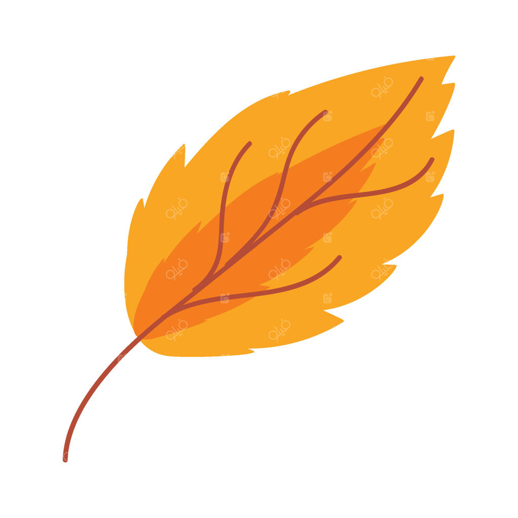 برگ‌های گیلاس خشک هرباریوم: سقوط برگ‌های باغ