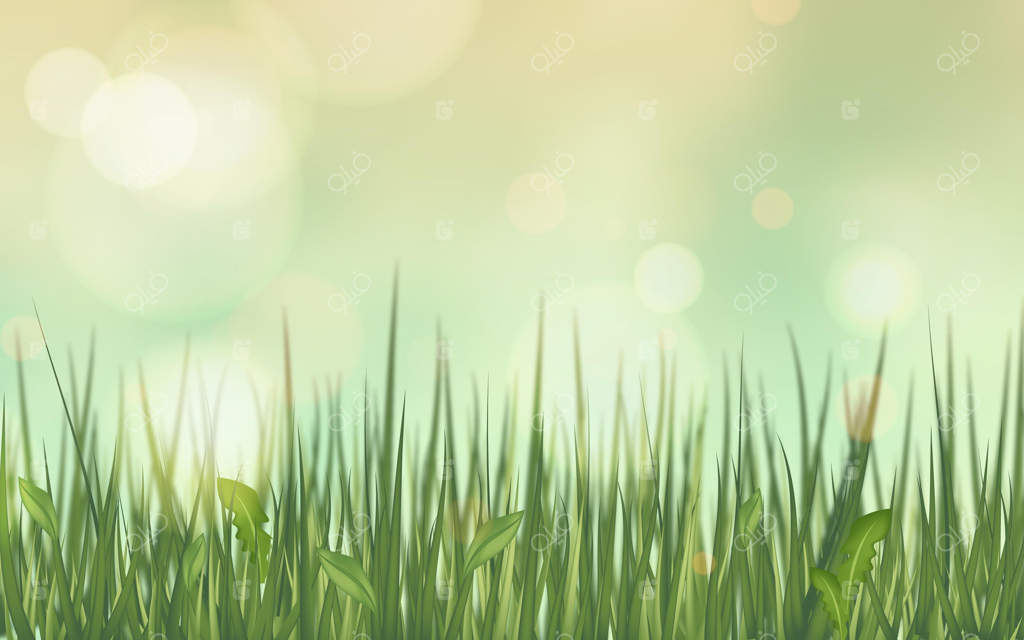 نمای بهاری از طبیعت