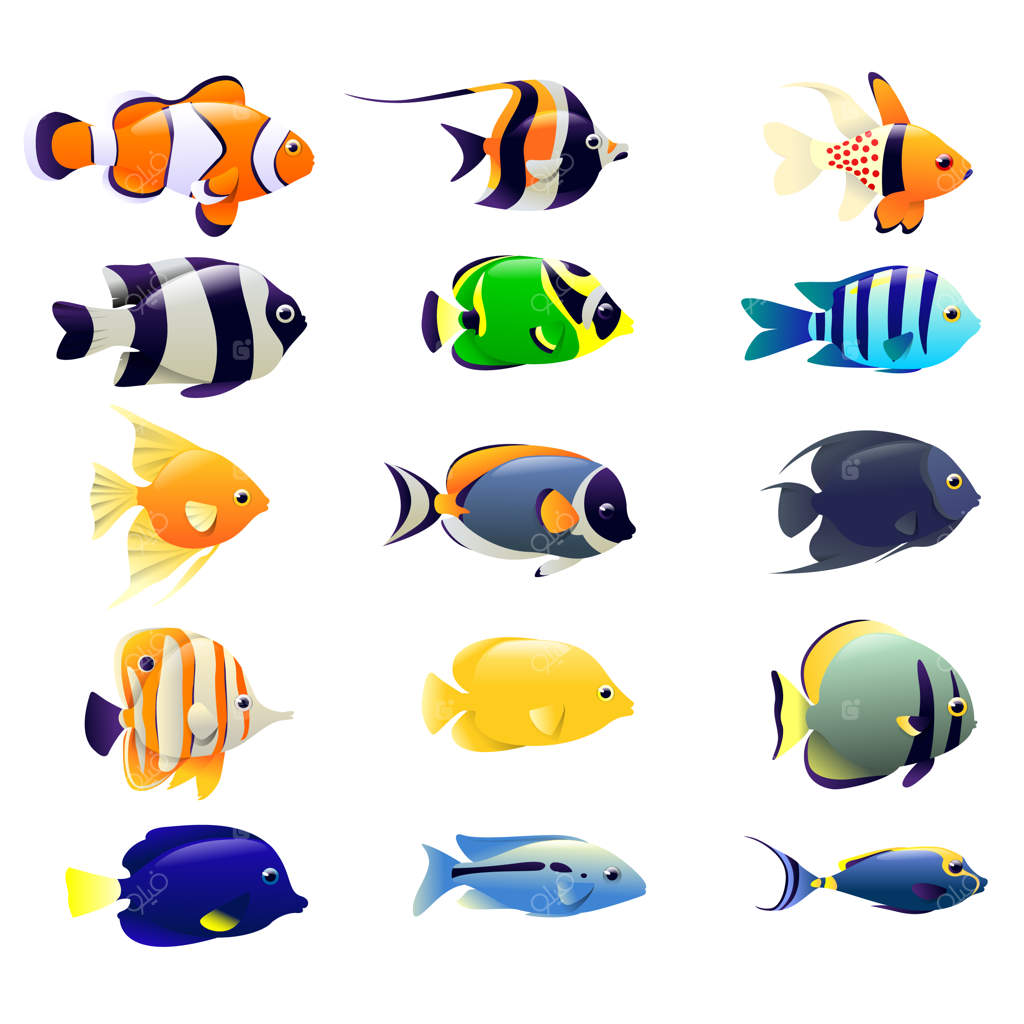 مجموعه‌ای از ماهی‌های اقیانوسی بر روی زمینه سفید