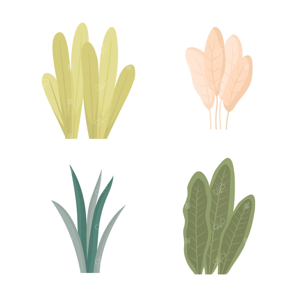 مجموعه‌ای از برگ‌های گرمسیری و گیاهان در طبیعت و باغ پارک