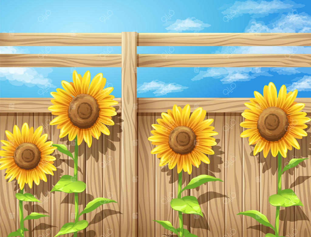 تصویر برداری گل آفتابگردان درون حصار