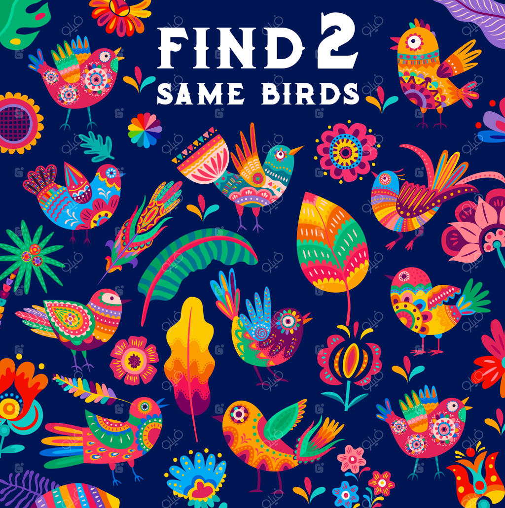 آلبریخه مکزیکی کارتونی در بازی پیدا کردن پرندگان مشابه