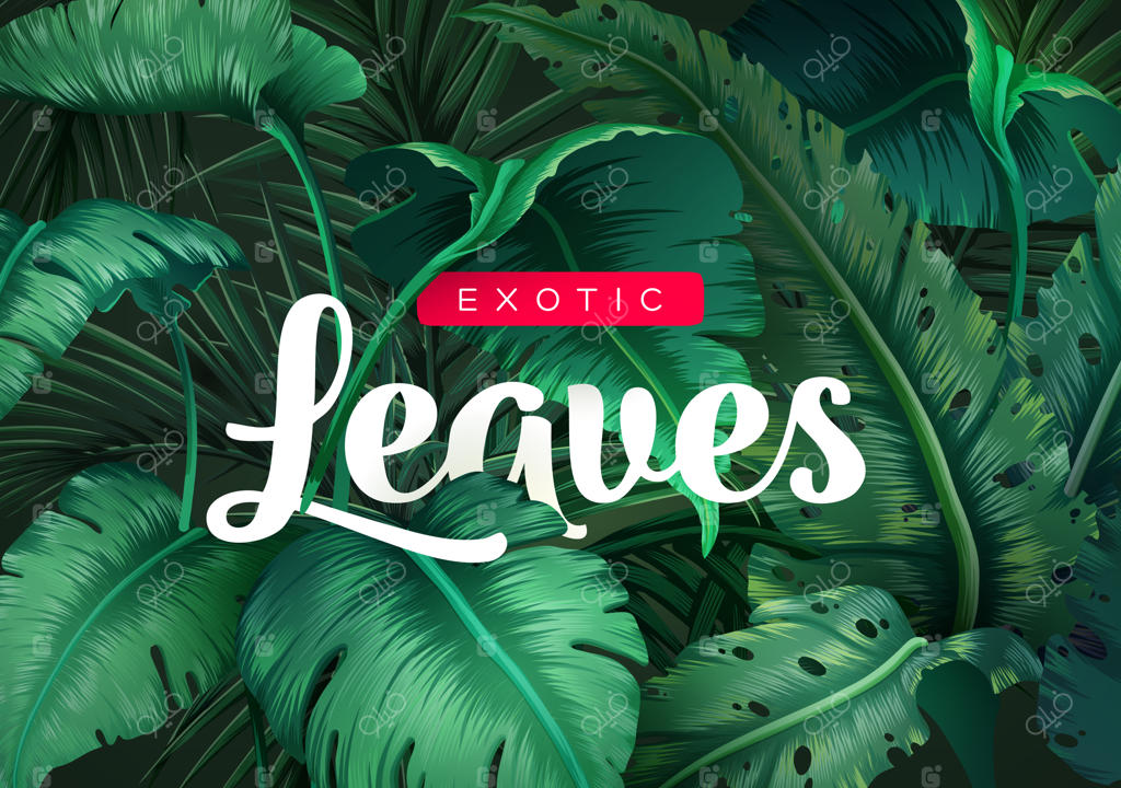 زمینه‌ی روشن گرمسیری با گیاهان جنگلی.