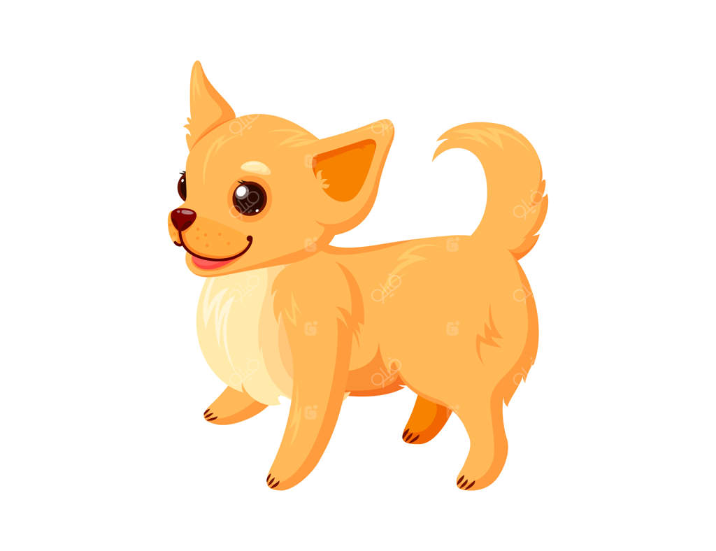 تصویر وکتور سگ چی‌واوا خوشحال روی زمینه سفید