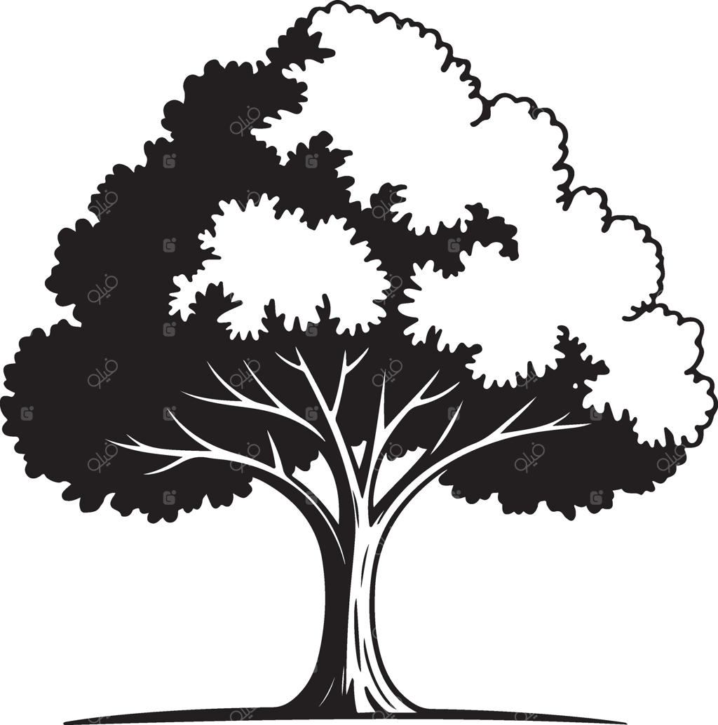 نقاشی سایه درخت با شاخ و برگ پرپشت