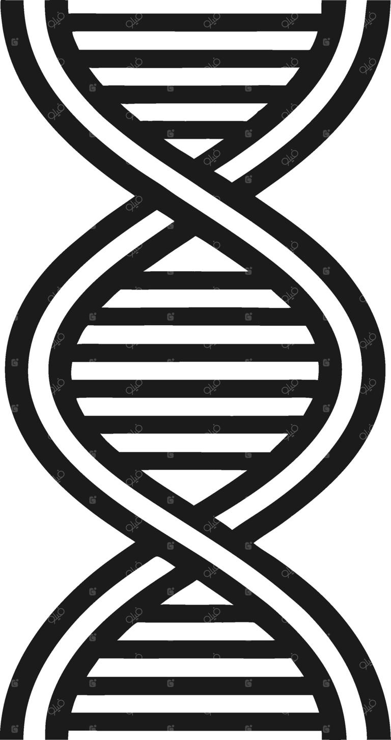 طرح گرافیکی مارپیچ دوگانه DNA برای آموزش علوم و تصویرسازی پزشکی