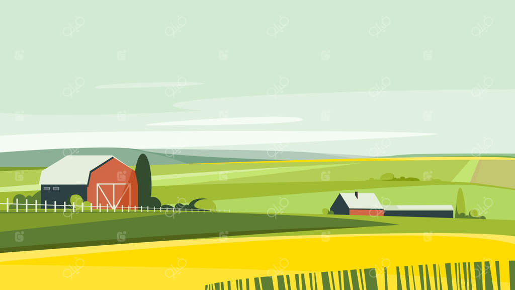 مزرعه در فصل تابستان