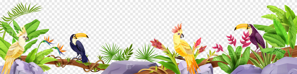 پرنده‌های جنگلی و مرز سنگی: توکان و طوطی‌های عجیب و غریب مناطق گرمسیری