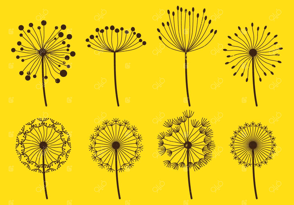 مجموعه‌های نرم قاصدک