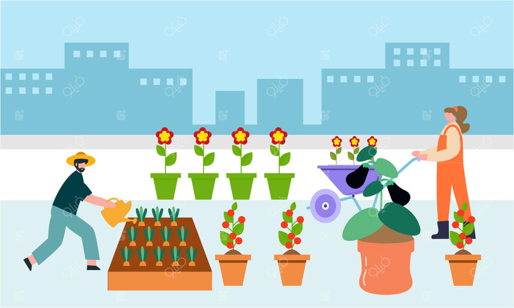 تصویر همکاری مردم، باغبان و کشاورز در طراحی بام سبز