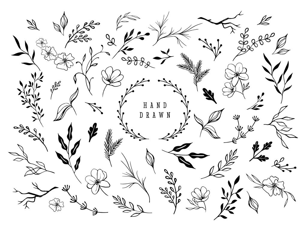 مجموعه وکتور تزئینات گل‌دار و عناصر طبیعی طراحی دستی شامل گل، برگ و شاخه برای طراحی کارت عروسی