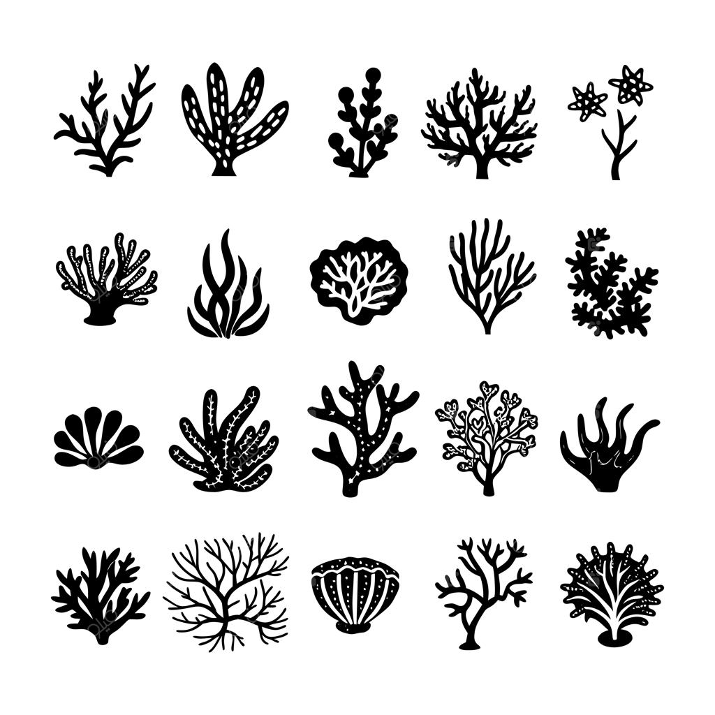 تصویرسازی وکتور صخره‌های مرجانی