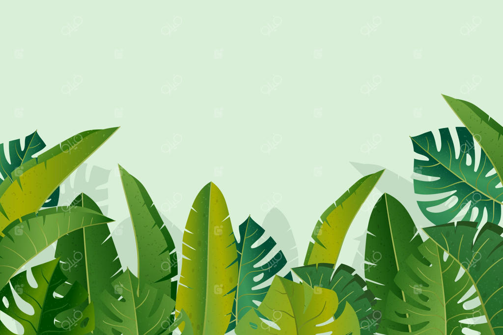 کاغذ دیواری طرح دیواری گرمسیری