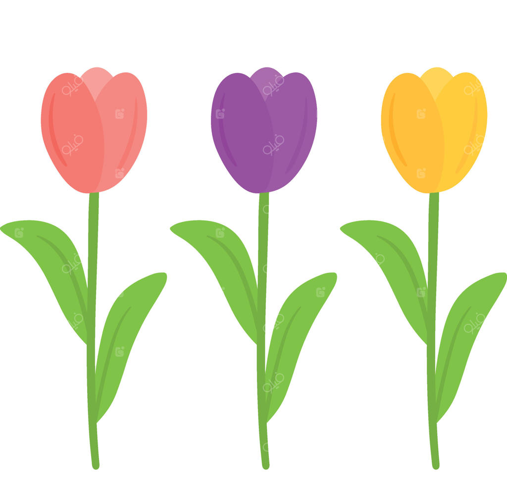 نقاشی زیبای مجموعه گیاهان باغی با گل لاله扭