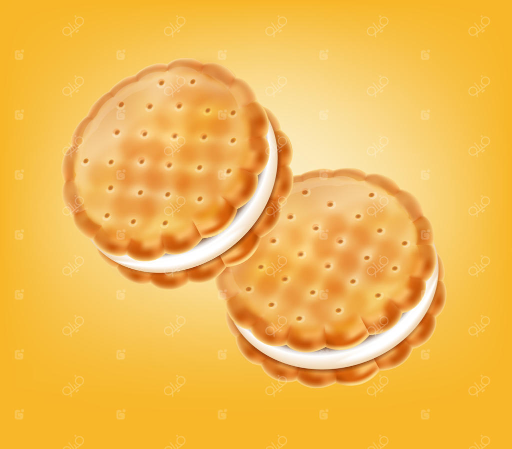 تصویرسازی بیسکویت‌های کرم وانیلی