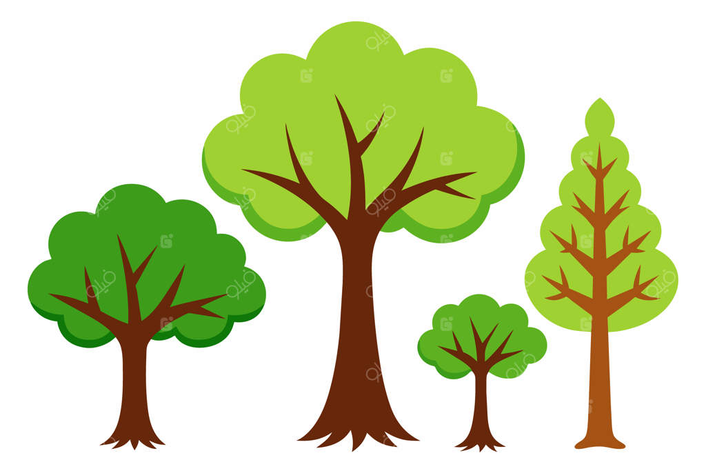 مجموعه‌ای از درختان با شکل‌ها و اندازه‌های مختلف