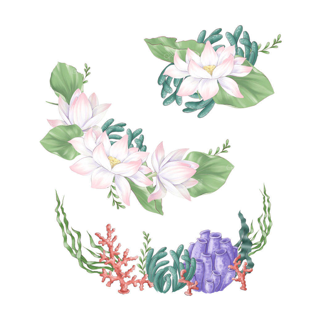 مجموعه‌ای از کلیپ‌آرت‌های دیجیتالی گل و دسته‌گل‌های نیلوفر آبی و جلبک‌های دریایی