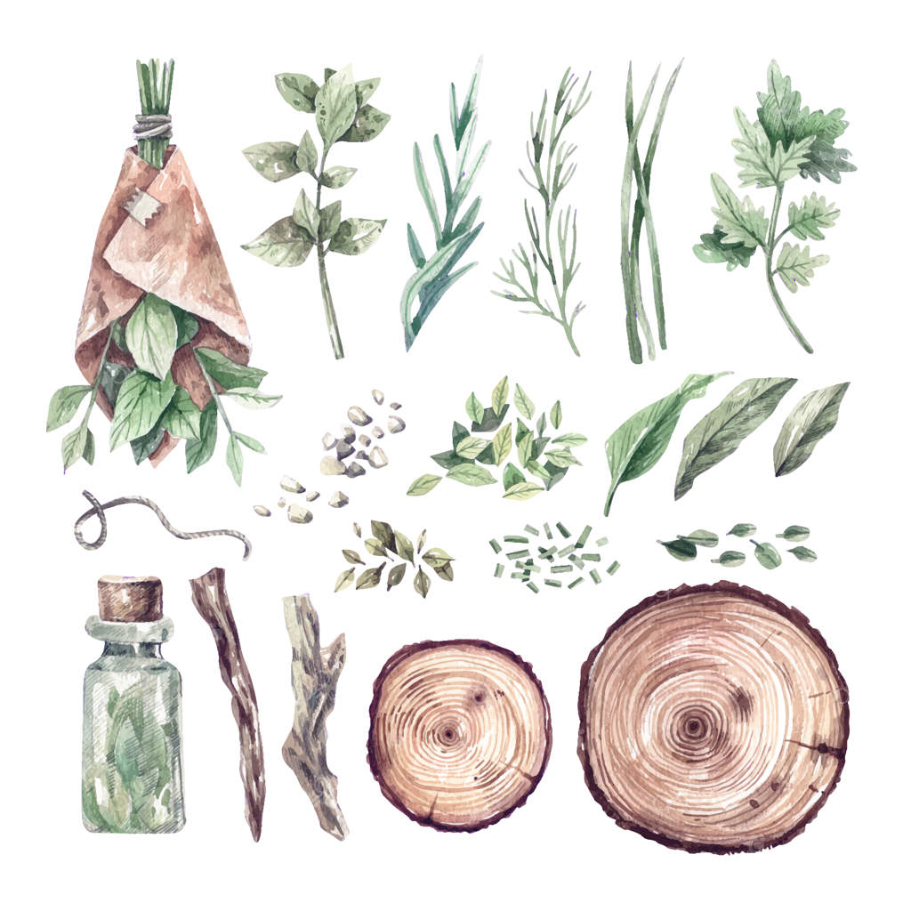 مجموعه بزرگ آبرنگی از گیاهان دارویی، بطری‌های روغن و ظروف پزشکی. نقاشی‌های دستی از گیاهان دارویی ارگانیک و وسایل نگهداری. سلامتی و مراقبت شخصی