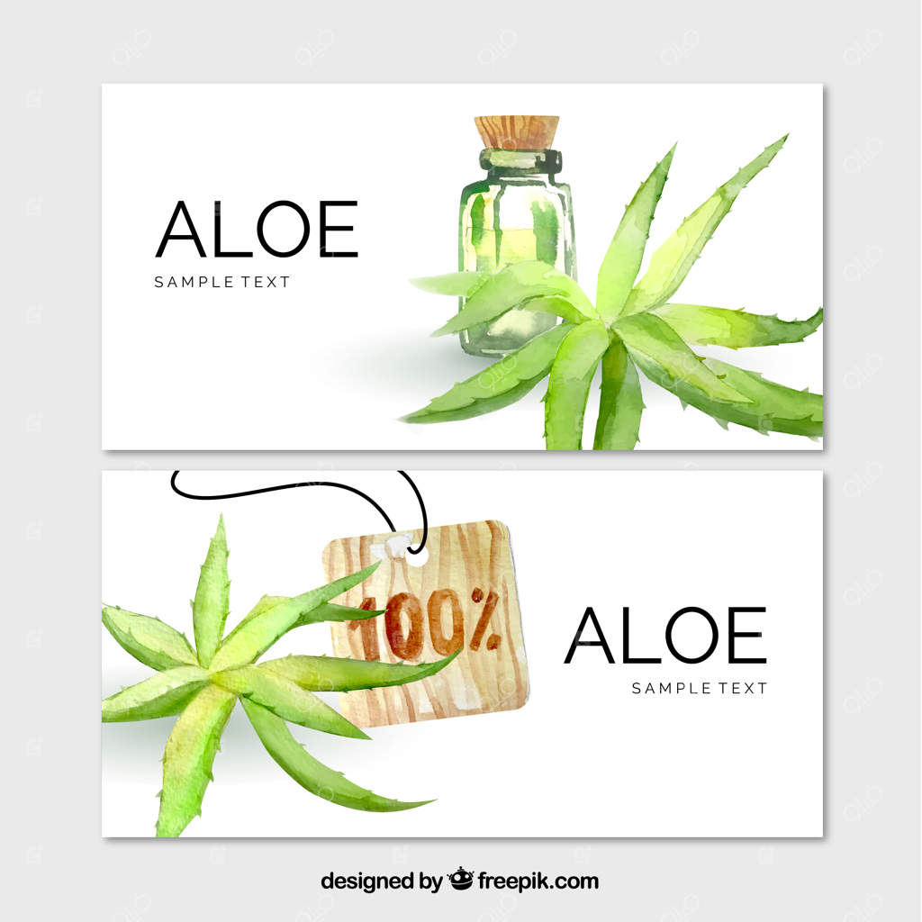 بنرهای آرایشی با طرح آبرنگی آلوئه‌ورا