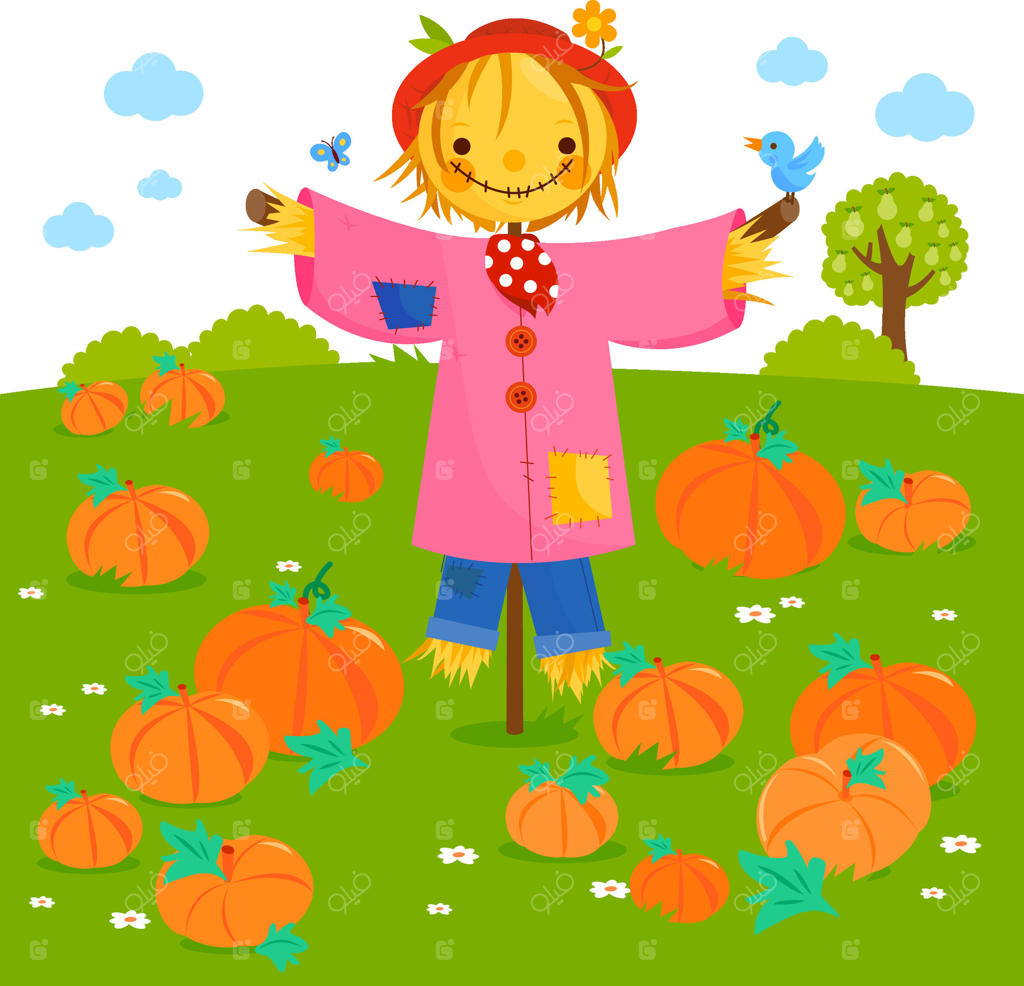 مترسکی در مزرعه‌ای با زمین کدو تنبل. برداشت کدو در تعطیلات همراه با مترسک بامزه کارتونی در باغ.