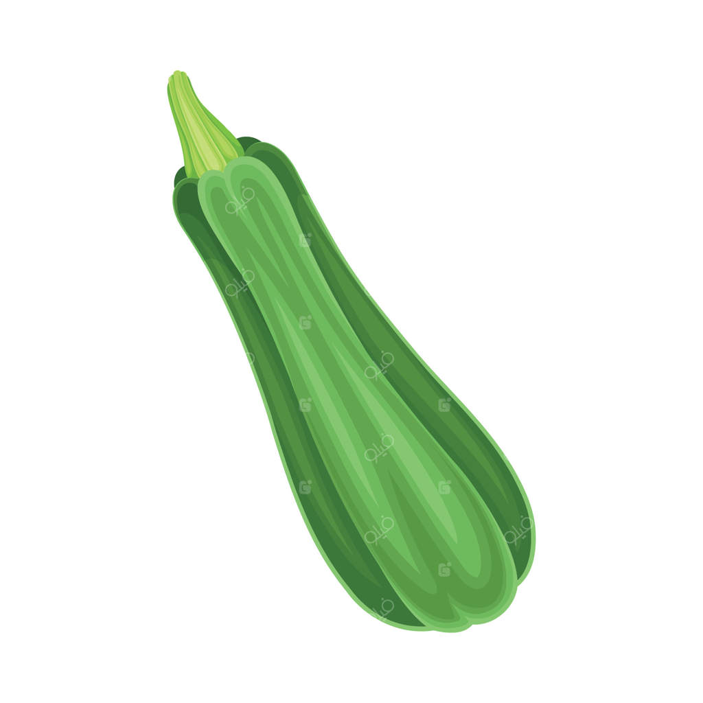 نمای نزدیک از کدو سبز رسیده: غذای سالم خام و کاشت آن در باغچه