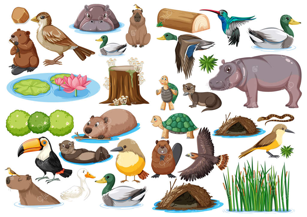 مجموعه‌ای از انواع حیوانات وحشی مختلف